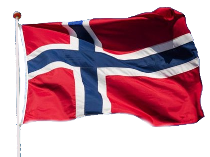 Vlag